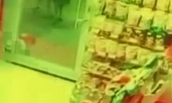 Aç kalan kurt, köpeğe saldırdı