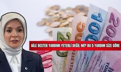 Aile Destek Yardımı Yeterli Değil mi? Bu 5 Yardım Size Göre 