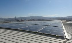  Bu üniversite kendi elektriğini üretiyor