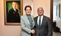 İYİ Parti Genel Başkan Yardımcısı partisinden istifa etti