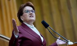 Meral Akşener "Bunlar hem ahlaksız hem gerizekalı hem de salak"
