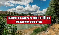 Osmanlı'nın Avrupa'ya Hediye Ettiği Irk Anadolu'nun Sadık Dostu 