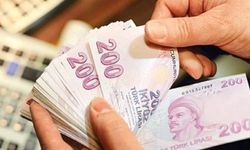 Şubat ayı yaşlı ve engelli aylıkları hesaplara yatırılmaya başlandı