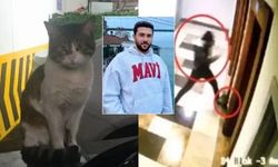  Adalet Bakanı Tunç'tan Eros isimli kedinin öldürülmesine ilişkin açıklama