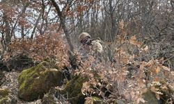 Jandarma'dan kanunsuzluğun önüne set