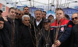 Melikgazi'de 535 bin metrekare meyve bahçesi olacak