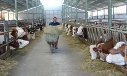 Öğretmenlik hayalini bıraktı çiftlik kurdu
