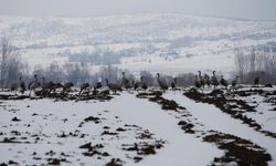 Turnalar da hava muhalefetine takıldı!