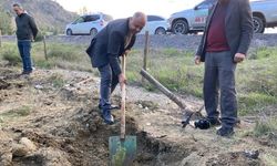 Yanan ormanlık alanları el birliğiyle yeşerttiler