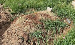 4 yaşındaki Sultan'ın mezarının üzerine bayram şekerleri var