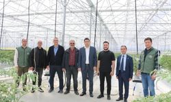 Jeotermal Sera Organize Sanayi Bölgesi için çalışmalar devam ediyor