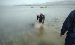 Kayıp olarak aranan şahsın cesedi barajda bulundu