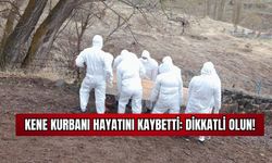 Kene Kurbanı Hayatını Kaybetti: Dikkatli Olun!