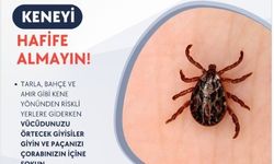 Keneyi hafife almayın!