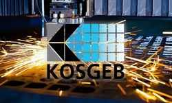 KOSGEB girişimci seçmelerine başlayacak