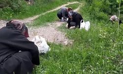 Madımak toplarken kayboldu, 30 saat sonra bulundu