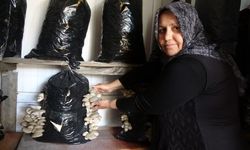 Mantarlara bebek gibi bakıyor!