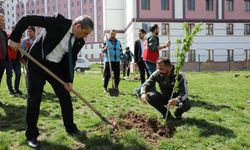 Sivas GSM'den hatıra ağaçlandırma
