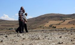 Sivas'ta çiftçilerde kuraklık endişesi