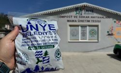 Ünye'de artan iftar yemekleri sokak hayvanları için mama oldu