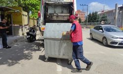 Vahşet parçalayıp çöpe attılar !