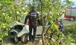 Virajı alamadı ağaca çarparak durabildi