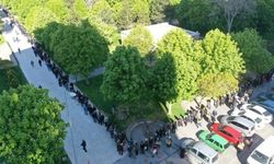 2 kilometrelik fide sırası