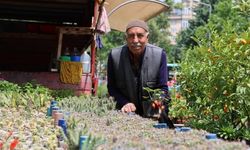 60 yıldır bitki yetiştirip satıyor