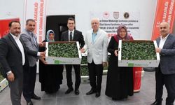 Akıncılar'da 330 bin fide dağıtıldı