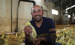 Alım garantisi üretmeye teşvik etti