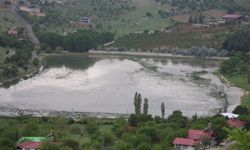 Bağ evleri yaz mevsiminde dolup taşıyor