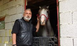Bahçesi Ali Baba'nın çiftliği