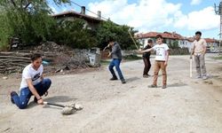 Çelik çomak deme! O bir met oyunu