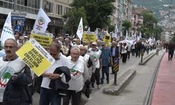 Emekliler yürüyüş düzenledi