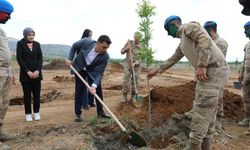 Fidanlar gösterilerle toprakla buluştu