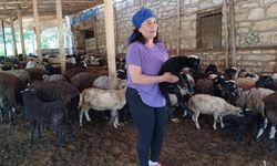 Herşey 10 koyunla başladı