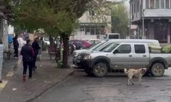 İmranlı'ya kar yağdı
