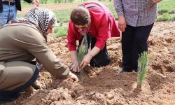 Kadın Çiftçiler tarımsal yeniliklerle buluşuyor