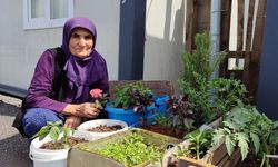 Konteynerinin önünü bahçeye çevirdi