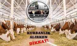 Kurbanlık alırken dikkat!