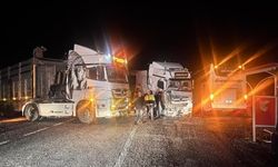 Malatya'da yem yüklü tır devrildi