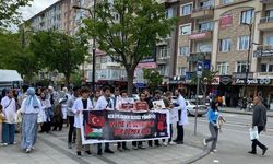 Sivas'ta hekimlerden Sessiz Yürüyüş