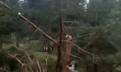 Sivas'ta hortum paniği!