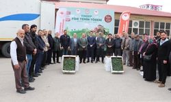 Sivas'ta sebzecilik gelişiyor
