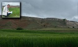 Sivas'ta Tarımsal Destekleme Ödemeleri için çalışmalar sürüyor