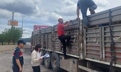 Sivas Tarım Müdürlüğü'nden kurban sevki uyarısı
