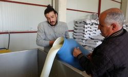 Süt Toplama Merkezleri yaygınlaşıyor