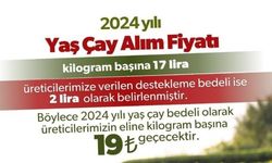 Yaş çay alım fiyatları belirlendi