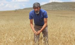 Aklımızla oynanıyor, böyle fiyat olamaz!