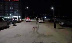 Akraba kavgasında 2 ölü